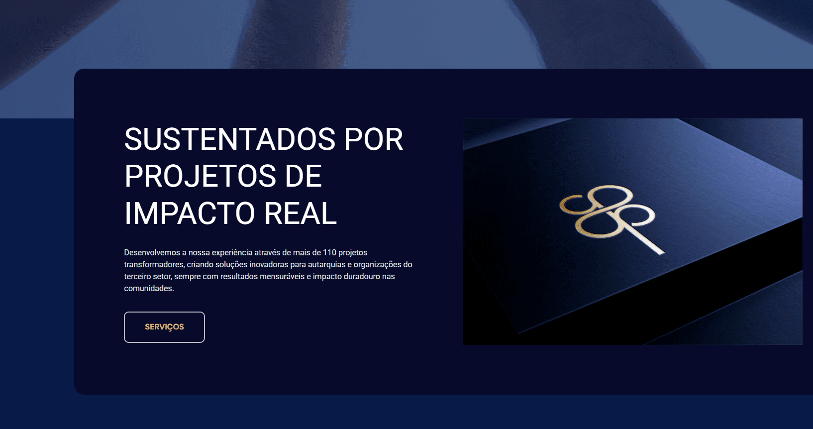 Web + Logo – Consulting
