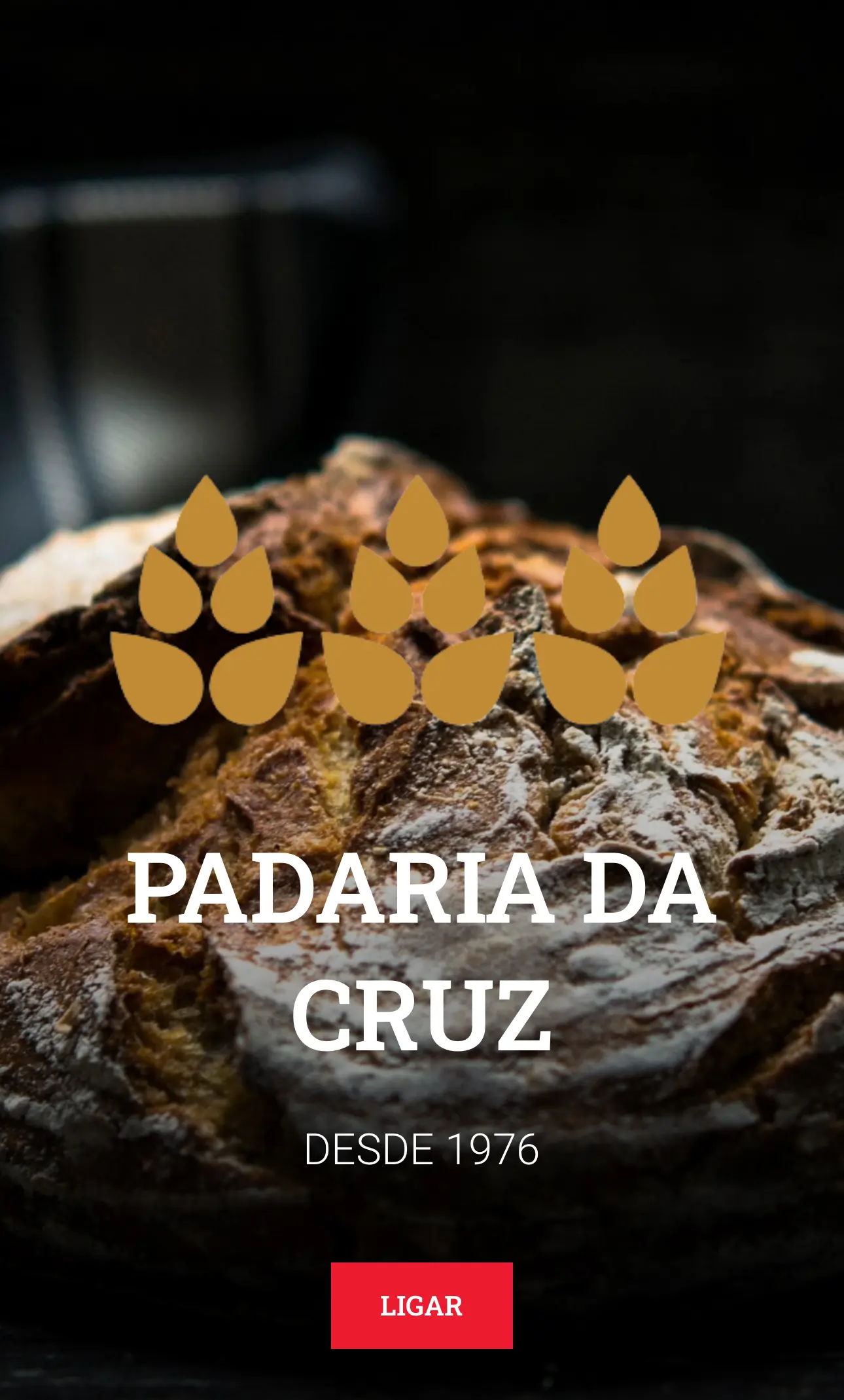 WEB – Padaria da Cruz